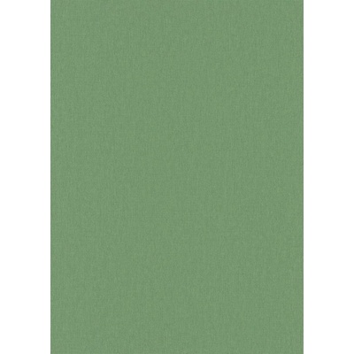 DIMEX ART Влизолинов тапет за стена wpe-901971