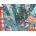 Ravensburger - Puzzle Welcome to the Circus - 1 500 piese