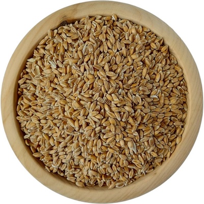 Prazrnko Dvojzrnka zrno z Myjavy BIO na váhu 1 kg