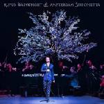 Rufus Wainwright - Rufus Wainwright And Amsterdam Sinfonietta (Live) (LP) (4050538698435)