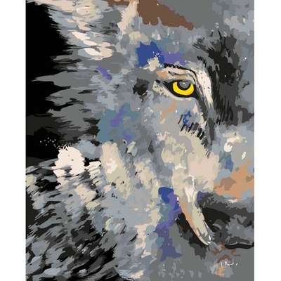 MALUJEŠ OBRAZY OD LENKY VLČÍ POHLED Rozměr 40 x 50 cm Rámování vypnuté plátno na rám