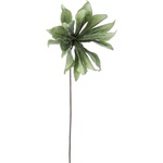 Bizzotto ИЗКУСТВЕНА КЛОНКА water hyacinth ЗЕЛЕНА (0172603)