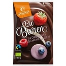 Landgarten bio lesné plody v třídruhové čokoláde 50 g