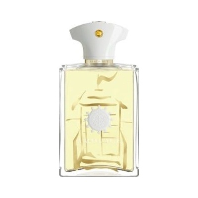 Amouage Beach Hut parfum pánsky 100 ml