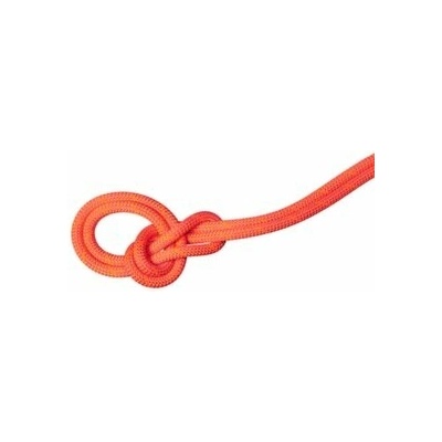 Mammut 9.8 Crag Dry 50 m