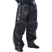 BlindSave LEGACY Goalie pants RC black