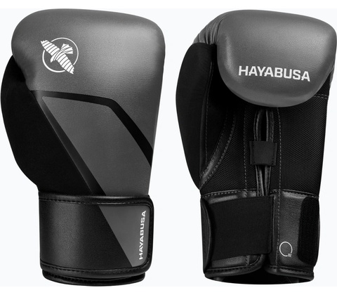 Hayabusa E1