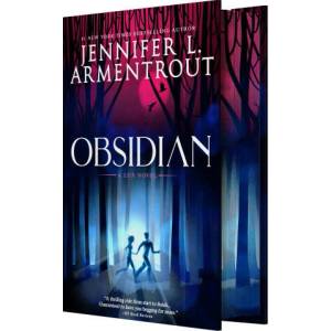 Obsidian (ISBN: 9781649376114)