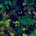Jungle By Night - Hidden