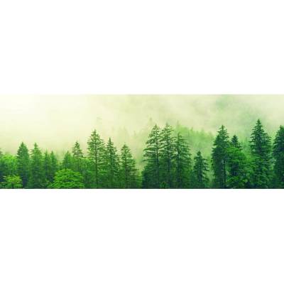 BONDECOR MLHA NAD LESEM