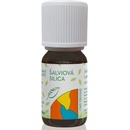 Hanus Šalviová silica 10 ml