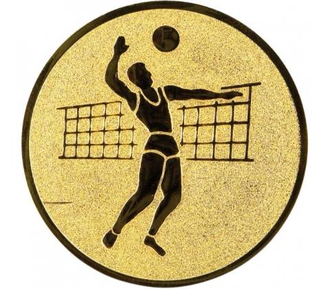 Emblém E19 Volejbal