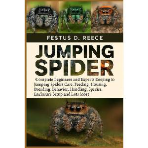 JUMPING SPIDER | FESTUS D. REECE (2025)