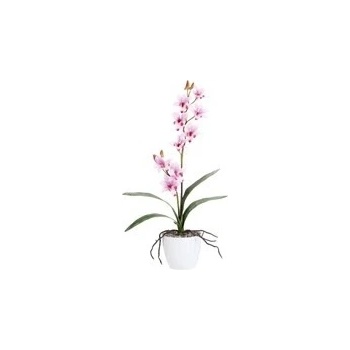Orchidej 60cm růžová (bez květináče) - Gasper