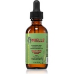 MIELLE Rosemary Mint Scalp & Hair Strengthening Oil укрепващо олио За коса 59ml