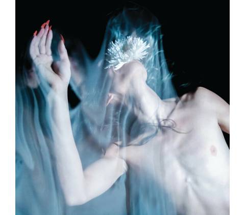 Pierce with Arrow - Shatter LP