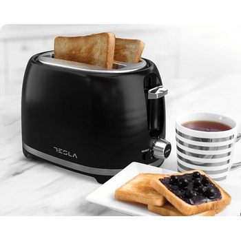 Image 1 of Tesla Electronics TS200BX