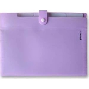 Tadeo Trading Briefcase with compartments A4 PP-105 purple