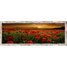 Bondecor Obraz v rámu "Vlčí máky" 90x30cm