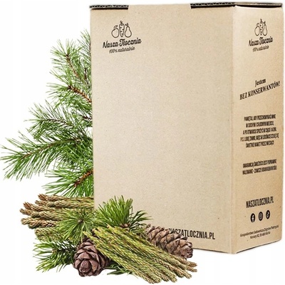 Nasza Tłocznia Sirup z výhonků borovice 3 l