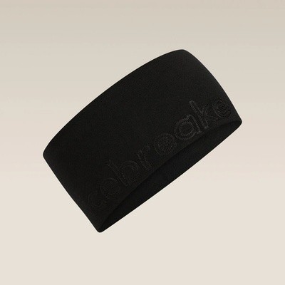 icebreaker Merino 260 Tech black