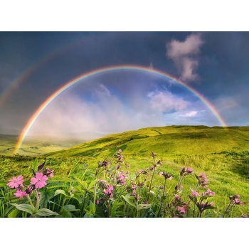 Ravensburger - Puzzle Power of Nature: Spectacular rainbow - 1 500 piese