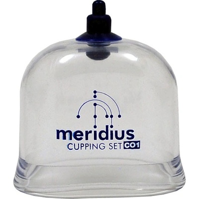 Meridius plastová baňka 8,61 x 42 x 65 mm