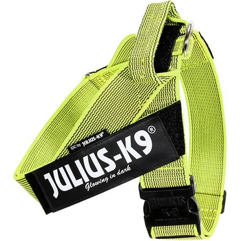 Julius K9 IDC color&gray postroj z popruhov