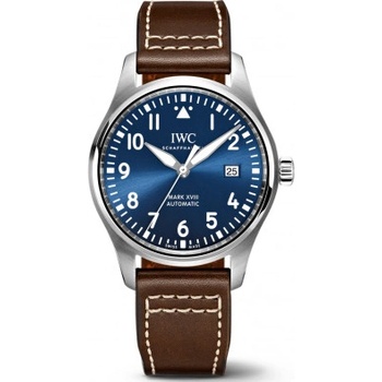 IWC IW327010