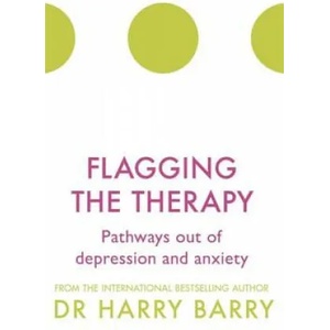 Flagging the Therapy | Harry Barry (ISBN: 9781409174431)