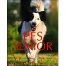 Pes senior