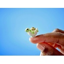 Image 1 of LEGO® Friends - Family Vacation Beach Resort (42673)