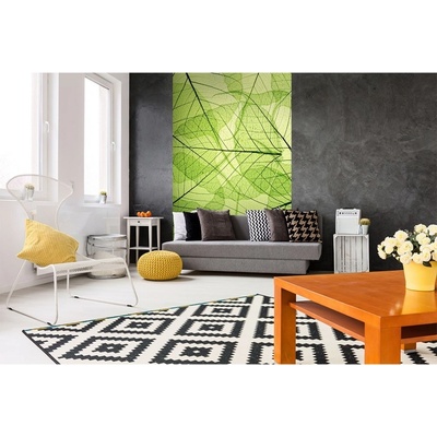 Dimex MS-2-0111 vliesová fototapeta na zeď Žilky listů rozměry 150 x 250 cm