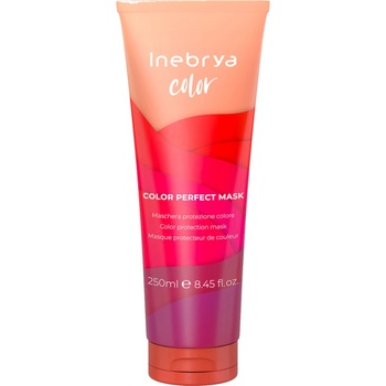 Inebrya Color Perfect Mask maska pre farbené vlasy 250 ml