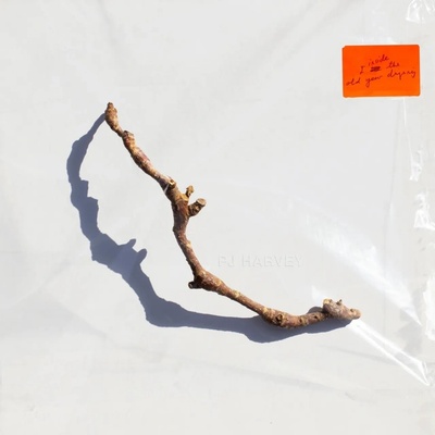 PJ Harvey - I Inside The Old Year Dying CD