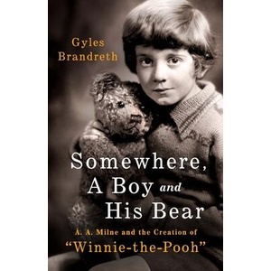 SOMEWHERE A BOY & HIS BEAR (ISBN: 9781250429902)