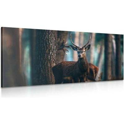 Obraz jelen v lese - 120x60