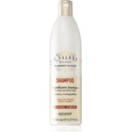 ALFAPARF Milano Il Salone Milano Magnificent шампоан за боядисана коса 500ml