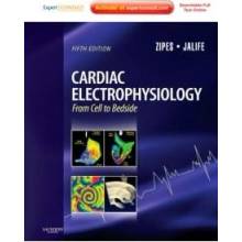 Cardiac Electrophysiology: From Cell to Bedside