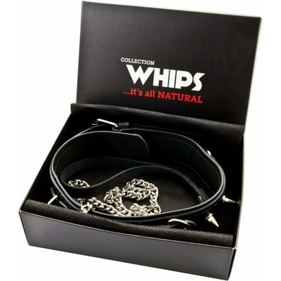 WHIPS Slave Collar with Studs and Leash, obojok s hrotmi a tromi D-krúžkami