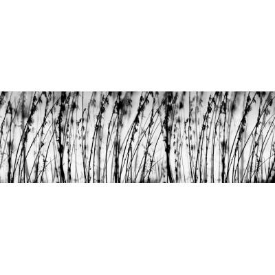 Dimex KI180-137 Fototapeta do kuchyně Grey rozměry 180 x 60 cm