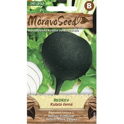 Reďkovka guľatá čierna MoravoSeed