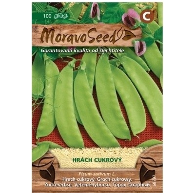 Semínka MoravoSeed Hrách cukrový JESSY 68797