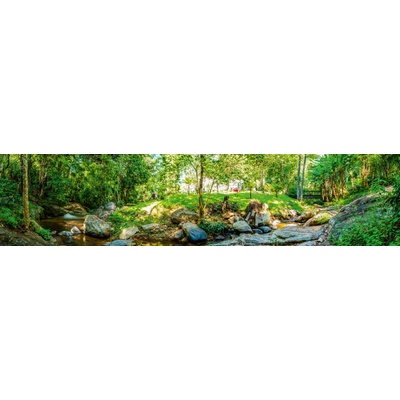 Dimex KI260-134 Fototapeta do kuchyně Botanic Garden rozměry 260 x 60 cm