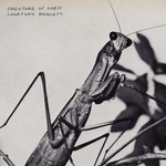 Courtney Barnett - Creature Of Habit (CD) (0198704841842)