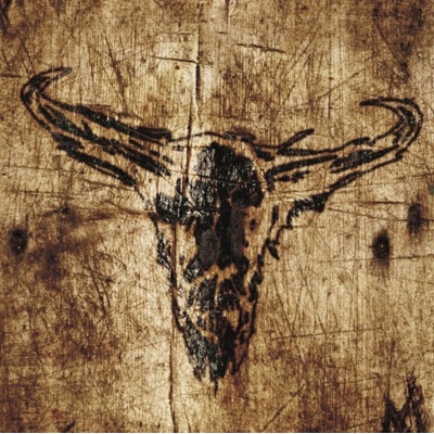 Southern Hostility - Upon a Burning Body LP