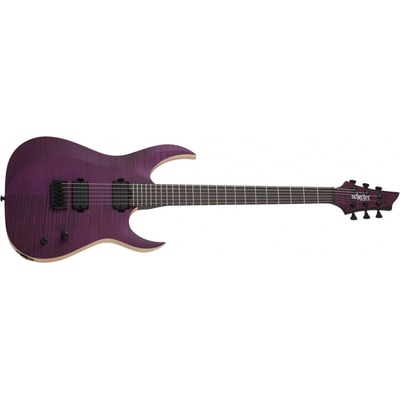 Schecter John Browne Tao-6