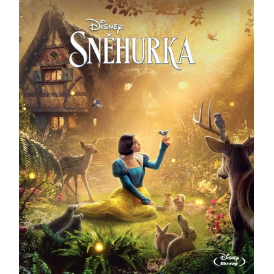 Snehulienka 2025 BD