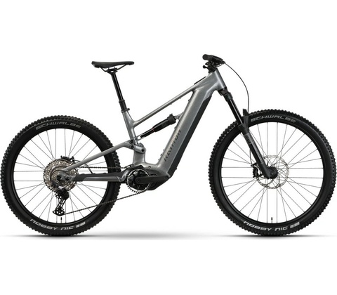 Raymon Ravor Comp 2026