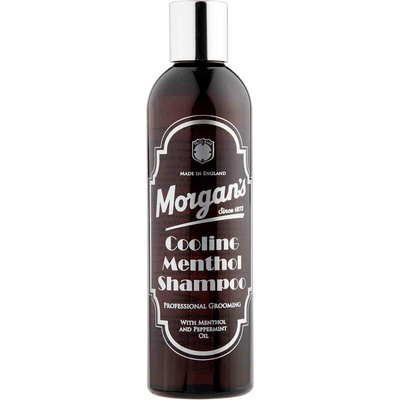 Morgan's Cooling Menthol Hair Shampoo 250 ml Osvěžující šampon na vlasy s mentolem a mátou